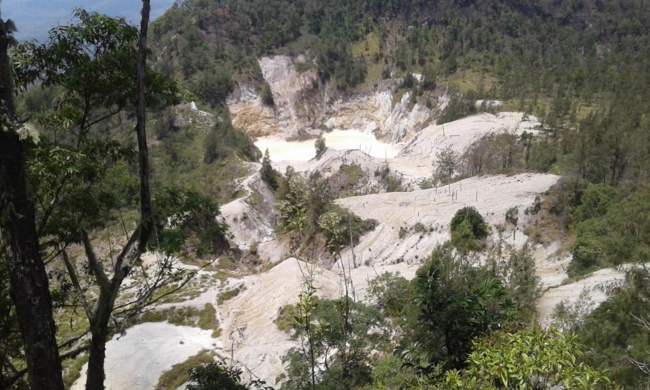 Kristian Homestay Bajawa المظهر الخارجي الصورة