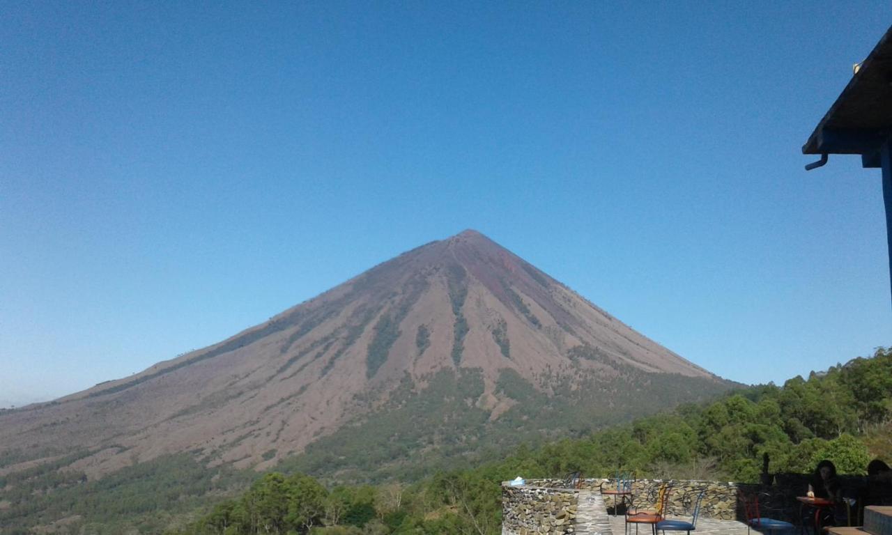 Kristian Homestay Bajawa المظهر الخارجي الصورة